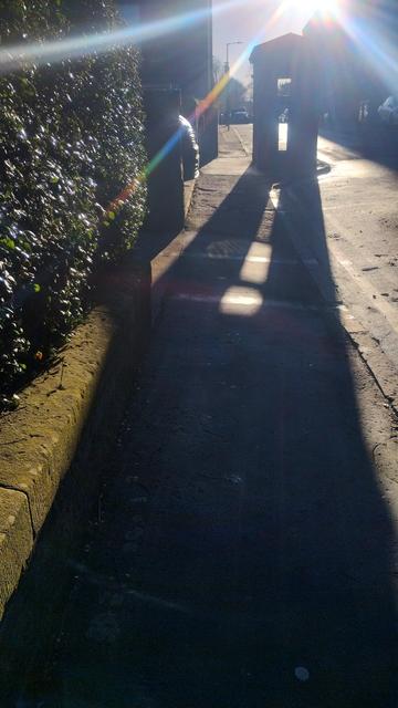 Stripped down shell of an old Edinburgh Police Box, low winter sun behind it, casting long shadows