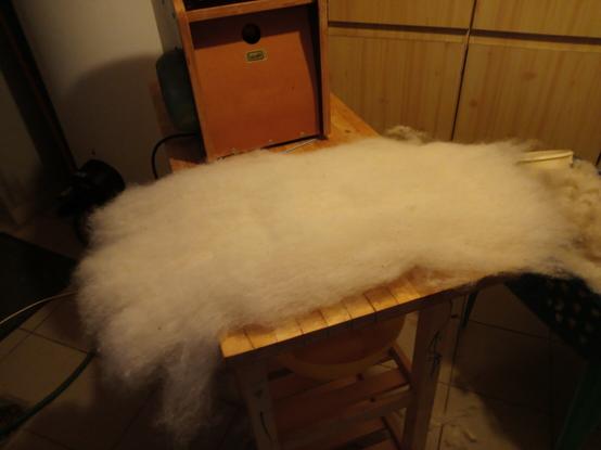 Ein Batt, wie es direkt nach dem Abnehmen vom Kardiergerät. Das sind 80-100g Wolle.