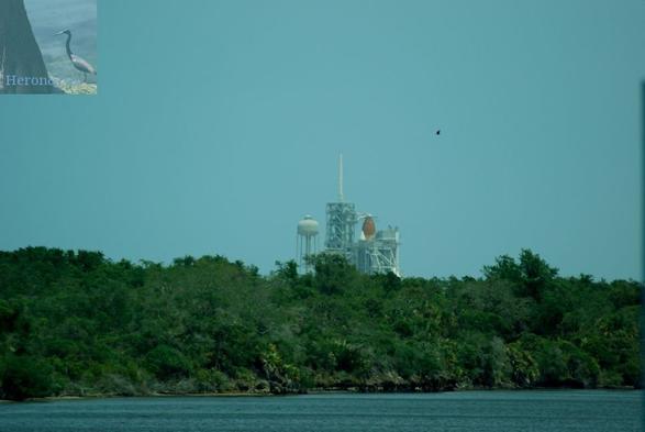 A photograph of NASA’s Launch Complex 39A with Space Shuttle Endeavour on the pad. The view of the pad is obscured by trees. Calm waters are near the bottom of the frame and grass at the bottom.