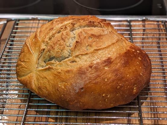 Halbrundes helles Brot auf Ofengitter, ein Riss in der Mitte