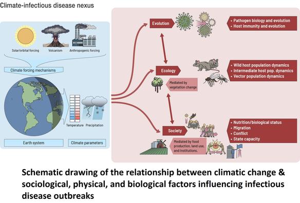Schematic drawing of the relationship between climatic change and sociological, physical, and biological factors influencing infectious disease outbreaks