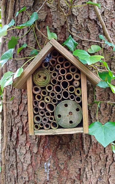 Small little wooden bug house attached to a tree trunk