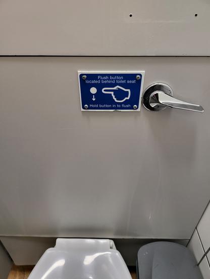 A photo of the wall behind the toilet in a station. A small sign reads "Flush button located behind toilet seat. Hold button to flush." It has an arrow pointing to down, but there is clearly no button and no space where a button could've been. Next to the sign sits a conventional flush lever.