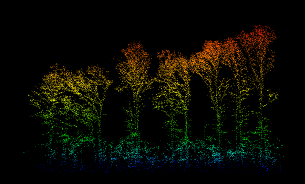 graphic - trees 'seen' in a LiDAR point cloud