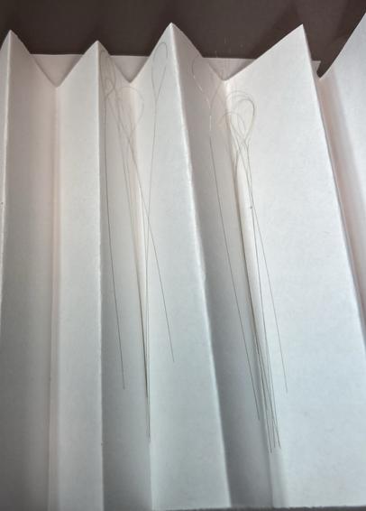 Photo of the inside of a Tetrodes box: accordeon-shaped white paper with several 12.7 microns nichrome wire tetrodes in them. They have a loop at one end and the rest is straight.