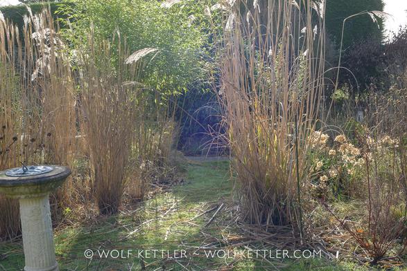 The photograph shows our garden on a sunny morning in early February. In the foreground to the left is a sundial. In the middle distance two borders, separated by a strip of grass. The old year’s growth is still standing. The borders are filled with tall grasses and seedheads. In the background shrubs and a tall hedge.