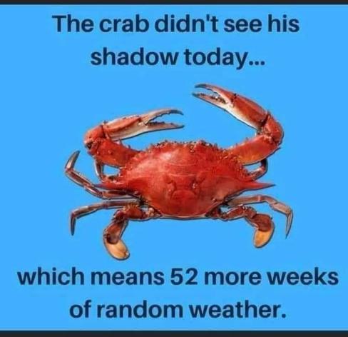 Meme of a crab on a blue background.

The text above and below the crab reads "The crab didn't see his shadow today ... which means 52 more weeks of random weather"