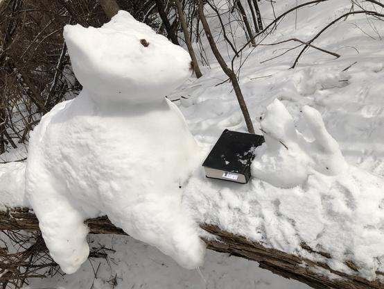 Snow bear facing a snow squirrel, with a book.  Sitting on a horizontal willow tree trunk.