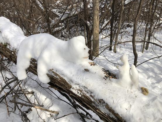 Snow bear facing a snow squirrel, with a seeds between them.  Sitting on a horizontal willow tree trunk.