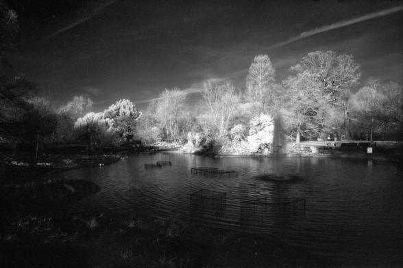 A Black and White infrared photograph of the lake in the English Garden in Greenwich Park