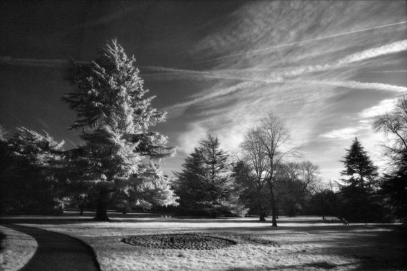 A black and white infrared photograph of the English Gardens in Greenwich Park