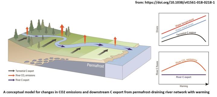 graphic - a conceptual model for changes on C)2 emissions and downstream C export from permafrost-draining river network with warming