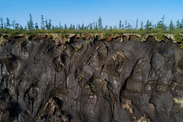 photo - Alaska - permafrost bluff exposed on a tall vertical riverbank