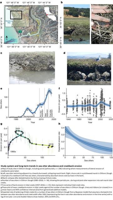 map, photos and charts - Study system and long-term trends in sea otter abundance and creekbank erosion