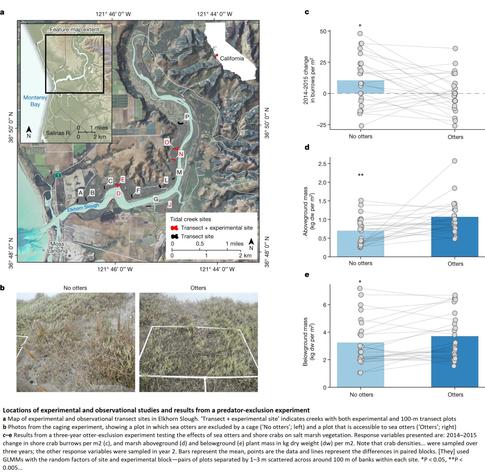 map, photos and charts -  Locations of experimental and observational studies and results from a predator-exclusion experiment