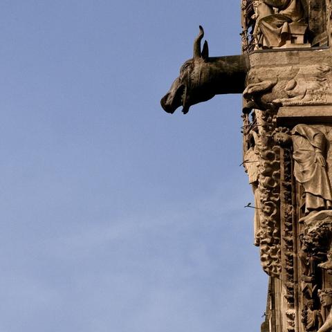 A stone gargoyle protrudes from a cathedral's edge against a clear sky, a timeless sentinel in carved stone.