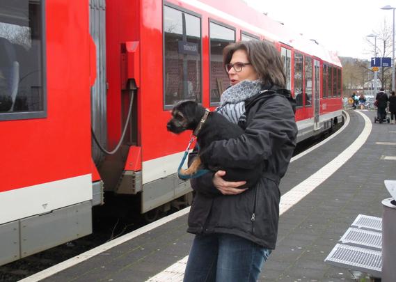 Frau mit braunen Haaren und Brille hält einen schwarzen kleinen Hund auf dem Arm. Sie steht auf dem Bahnsteig. Vor ihr ein roter Zug, der hält.