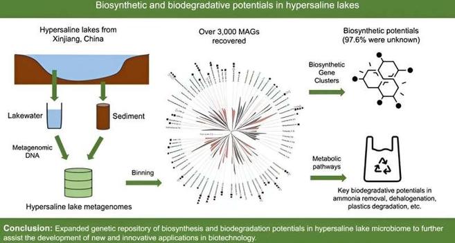 graphical abstract of the study