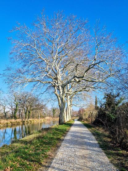 Canal du midi après le Ségala.