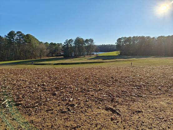 A green field with green trees and a lake off in the distance. Taken in NC.