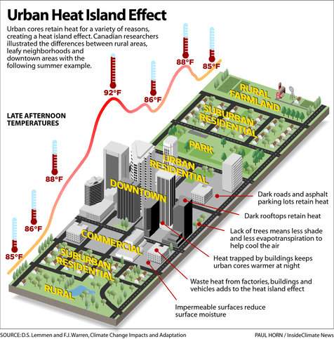 graphic / schematic - urban heat island effect