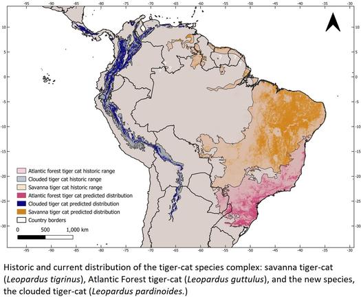 map - Historic and current distribution of the tiger-cat species complex: savanna tiger-cat (Leopardus tigrinus), Atlantic Forest tiger-cat (Leopardus guttulus), and the new species, the clouded tiger-cat (Leopardus pardinoides).