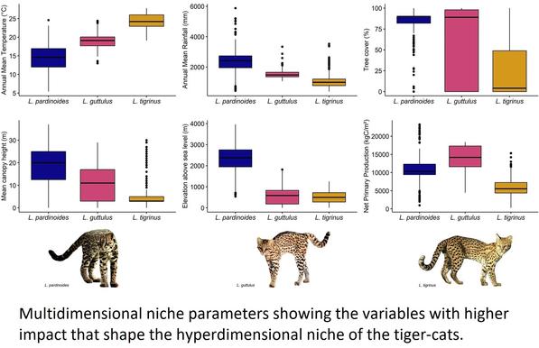 graphic - charts - whisker plots - Multidimensional niche parameters showing the variables with higher impact that shape the hyperdimensional niche of the tiger-cats.