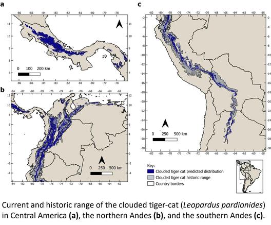 maps - Current and historic range of the clouded tiger-cat (Leopardus pardionides) in Central America (a), the northern Andes (b), and the southern Andes (c).