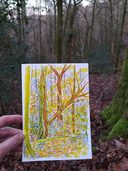 Dessin aux feutres du sous bois (un arbre mort en travers)