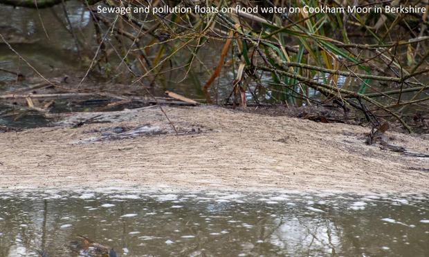 photo - sewage and pollution floats on flood water on Cookham Moor in Berkshire