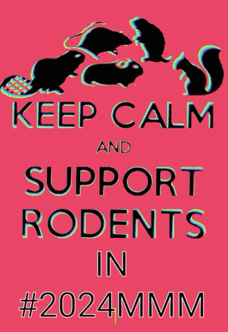 “Keep Calm and Support Rodents in #2024MMM”