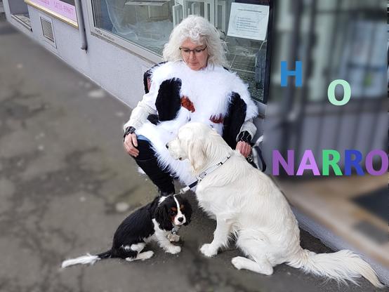 zwei Hunde, Gismo, tricolor Cavalier King Charles, Richie weißer Golden Retriever und eine Frau in einem Kostüm aus braun-weiß-schwarzem Plüsch mit großem Hundegesicht auf dem Körper