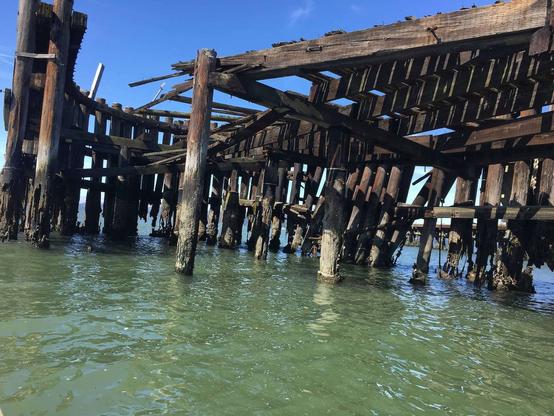 Photo of an old wooden pier in water
