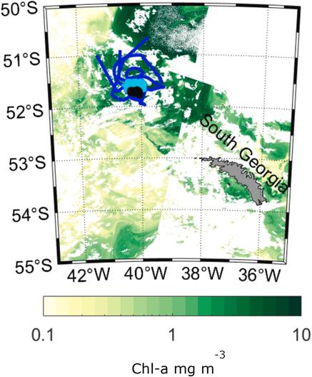 Map of chlorophyll concentrations near South Georgia overlaid with tracks of the Argo floats whose data were used in the study.

The area of the map is 50S-55S, 42W-36W with South Georgia in the south east and the float tracks to the north west.