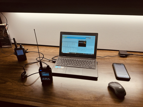 WIRES-X node