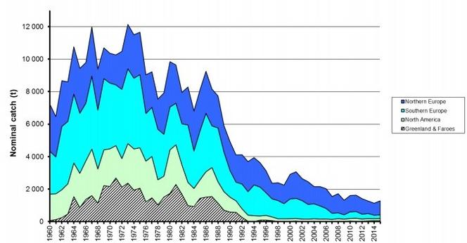 https://www.observatoire-poissons-migrateurs-bretagne.fr/connaitre-le-saumon-atlantique/etat-des-populations-de-saumon-atlantique