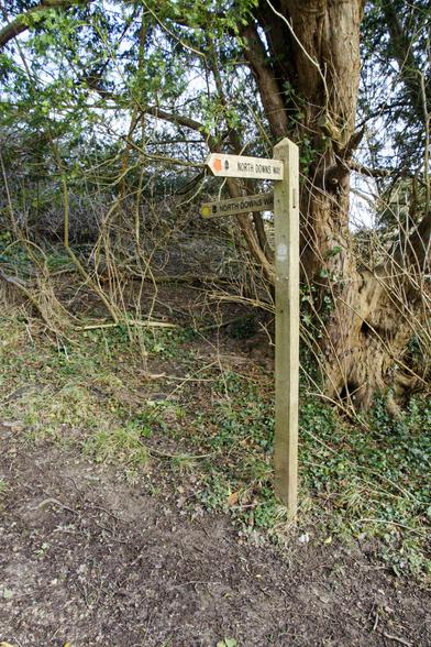 A wooden finger post with at 90° angle, pointing towards the North Downs Way. One has a red pointed tip, and the other yellow.