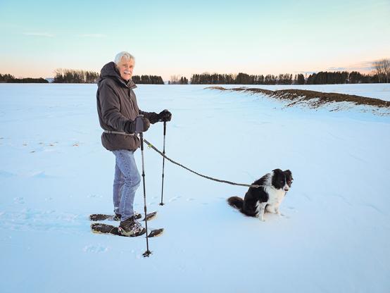 A snowy scene with a man in a dark winter jacket and jeans who is wearing snowshoes and using walking poles. He has a border collie attached to his waist with a leash, sitting in front of him.