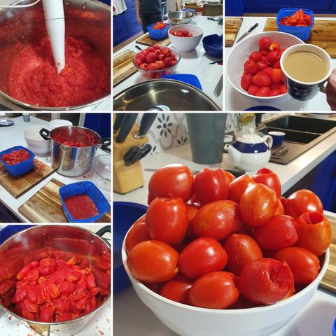 Collage of six photos of home-made tomato sauce in various steps of preparation, from peeling to a pot of pulp