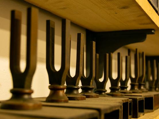 Close up of a row of tuning forks on a shelf.