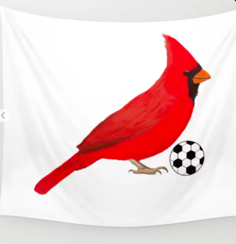 Our cardinal mascot is playing soccer, as shown on a tapestry.