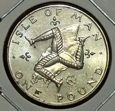 The Triskeles emblem, on a map of the Isle of Man, fleur-de-lis either side, lettering around edge. Plain border NOTE: The mintmark is on the edge of the map, above the N of ONE Script: Latin Lettering: · ISLE OF MAN · AB D.M.I.H.E. ONE POUND