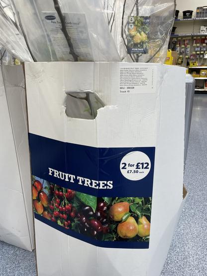 Box of #FruitTrees for sale at B&M Stores in Feb 2024, Two for £12 or £7.50 each.