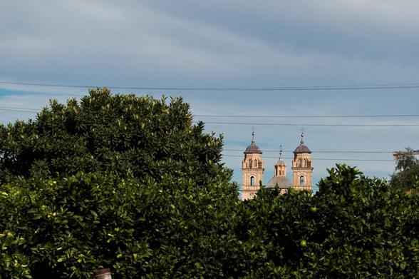 Lemon trees and behind it the towers from "Monasterio de los Jerónimos" in La Ñora, Murcia.