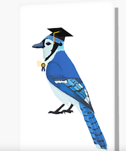 Our bluejay mascot is graduating, holding a diploma and wearing a mortarboard.