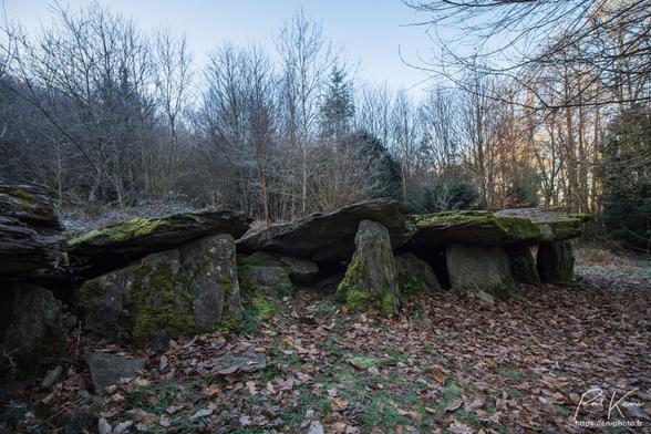 Photo en couleur où on voit, au milieu d'une petite clairière, au sol jonché des feuilles tombées des  arbres, une allée couverte, dolmen photographiée de côté en fait, on ne voit qu'une partie de l'allée couverte, l'extrémité gauche de celle-ci étant hors cadre. L'ambiance semble fraîche avec un peu de givre sous la végétation et la lumière du soleil, n'atteint pas encore le sol de la clairière, uniquement le sommet des arbres.