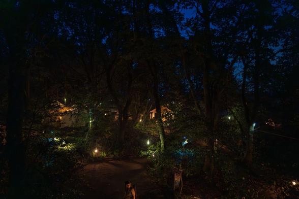 Elven camp at night. Lights in the forrest, the tents barely visible.