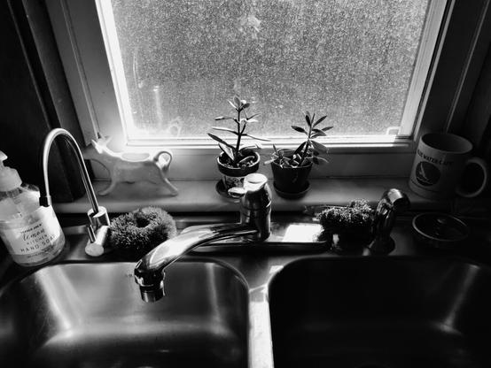 black and white view of a kitchen sink and items on the ledge behind it lit up in bright afternoon light through a window with water stains on it. on the ledge you see a bottle of hand soap, a white porcelain cow, two small succulent plants and a coffee mug from Grand Marais, MN.