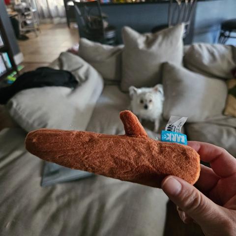 dog toy look like a human sex toy