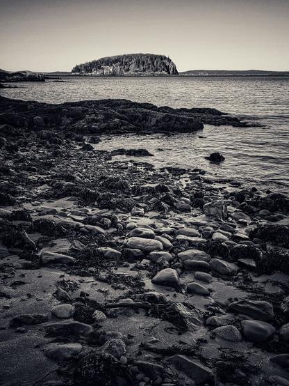 A shadowed,wet, foreground of rocks and seaweed stretch to the horizon